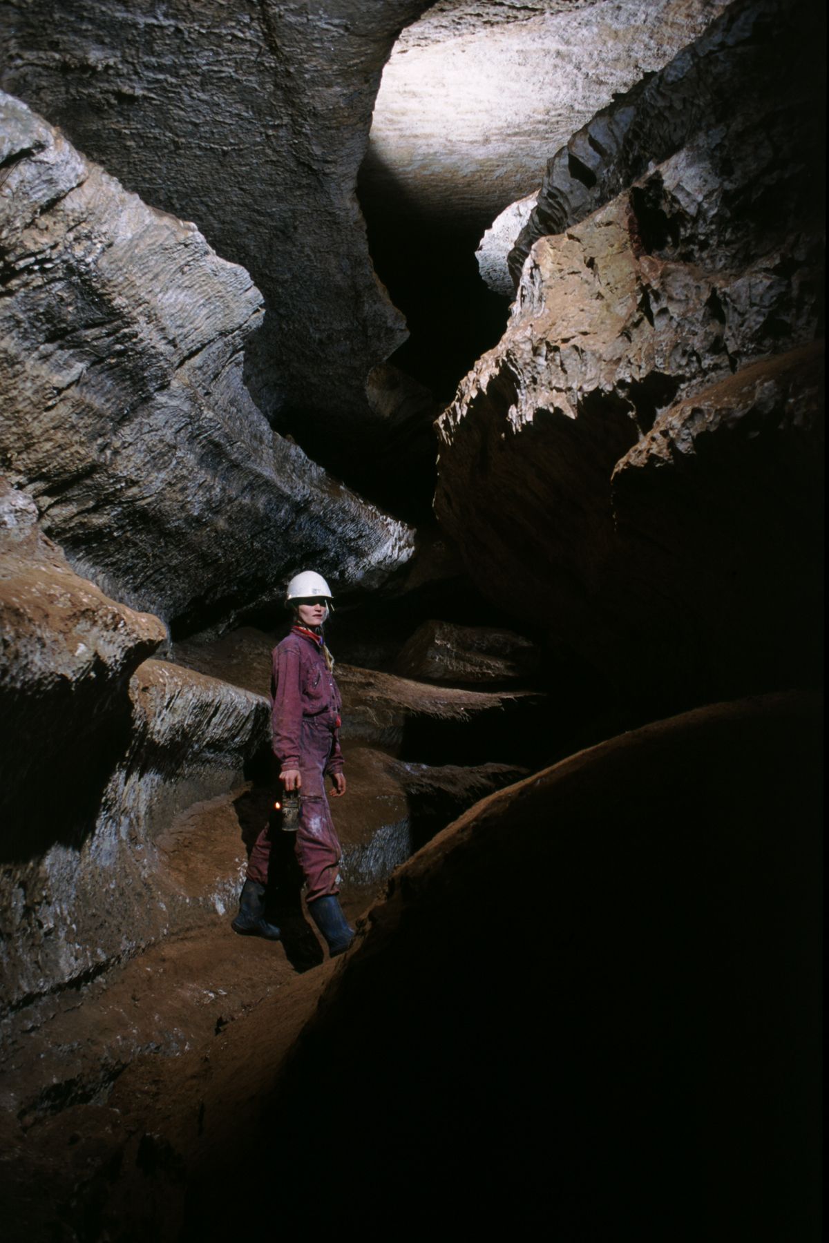 Thumbnail of photo from this article